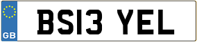 Trailer License Plate